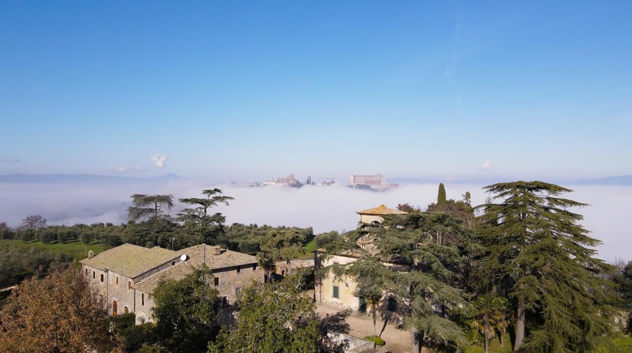 Villa Monteporzano 奥维多 外观 照片